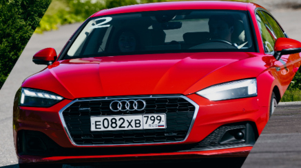 Летний курс «Начальные навыки»